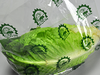 A Picture of product 964-891 Co-Extruded Polypropylene Printed Lettuce Bag, 12" x 9.75" + 4" BG, 1.00 Mil, 1,000/Case