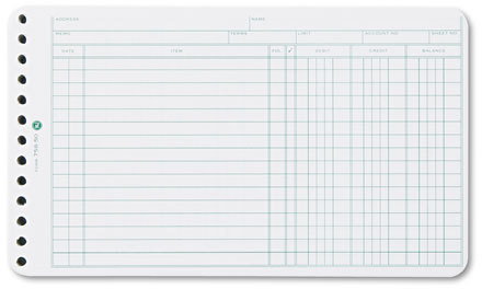 Accounting Sheets Green 11 x 14 100 Loose Sheets/Pack 10 Columns 