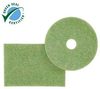 A Picture of product MMM-35029 Niagara™ Green Scrubbing Pad 5400N, 16 in, 5/Case