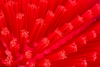 A Picture of product CFS-40043EC05 Sparta® Spectrum® Tank & Kettle Brush. 5-1/2 X 9 1/2 in. Red. 2 each/case.