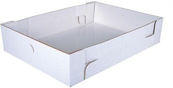 White Non-Window Bakery Boxes, 19-3/8 x 14-1/16 x 5 in, 50/Case.