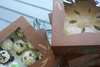 A Picture of product SCH-23056 Hearthstone Window Bakery Boxes, 10 x 10 x 5 in, 150/Case.