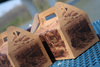 A Picture of product SCH-2705 Fresh Seafood Barn Boxes, 10.5 x 6.00 x 5.00 in, 125/Case.