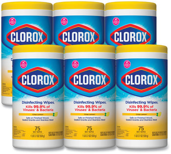 Clorox® Disinfecting WipesWIPES,CLXDISF,CRLMN,WH