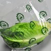 A Picture of product 964-891 Co-Extruded Polypropylene Printed Lettuce Bag, 12" x 9.75" + 4" BG, 1.00 Mil, 1,000/Case