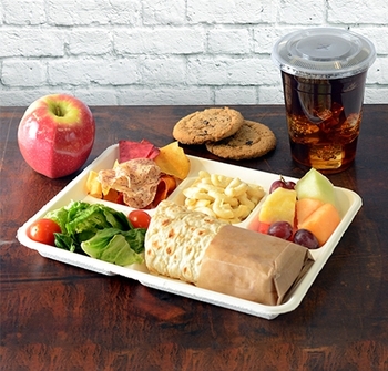 Conserveware Bagasse 5 Section School Lunch Trays. 10 X 8 in. White. 125/bag, 4 bags/case.